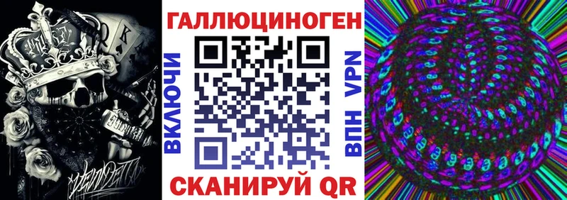 как найти наркотики  Зубцов  Галлюциногенные грибы GOLDEN TEACHER 